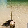 PH Ocean Power