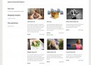 Our new Pro Presets store Screenshot of our New Online Store