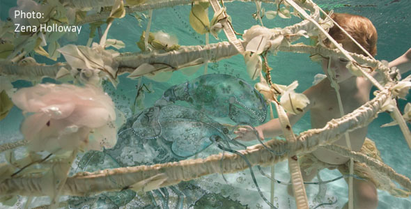 Zena Holloway Zena Holloway