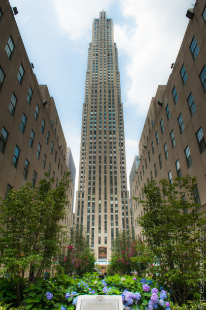 P365-134