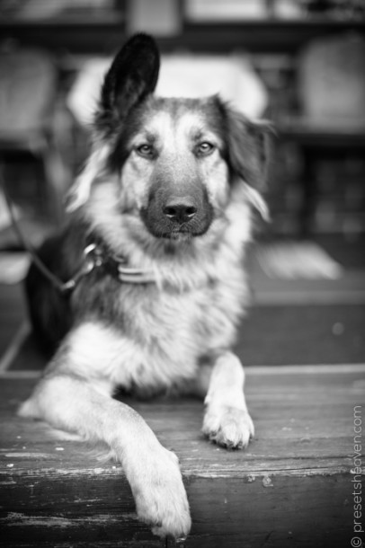 P365-208